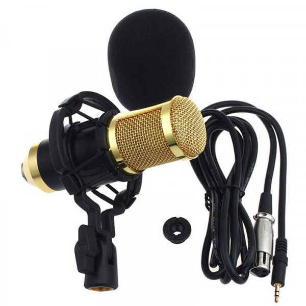Microfone Condensador Profissional Bm800 Studio Audio